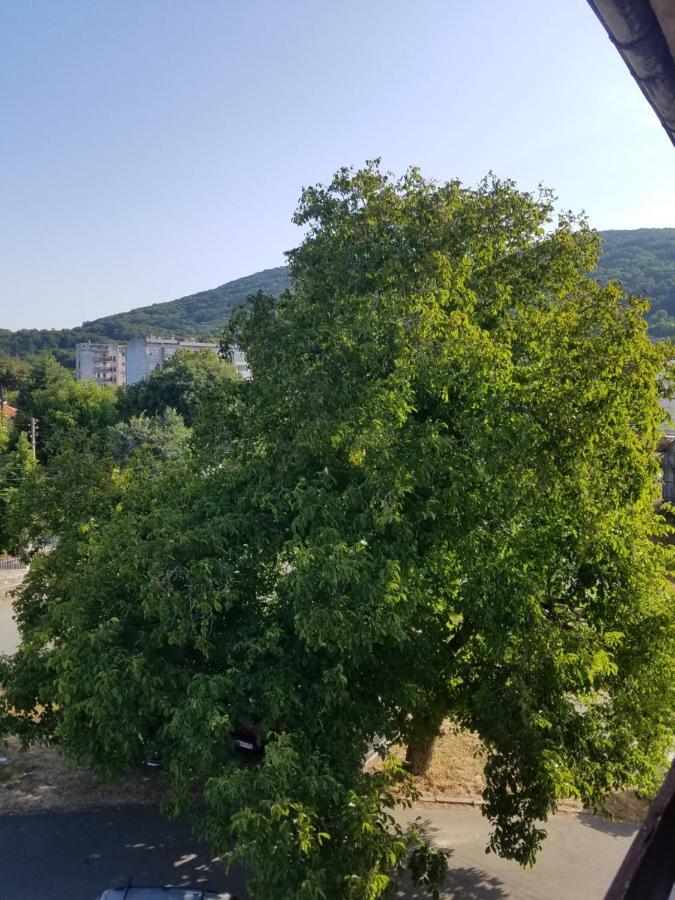 Retro Apartment Malko Tŭrnovo Kültér fotó